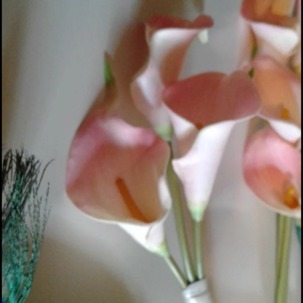 Simpler Thymes Floral calla #lilly